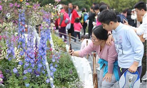 深圳中心公园花展_深圳中心公园花展时间表