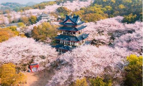 无锡旅游景点排行榜前十名_无锡旅游景点排行