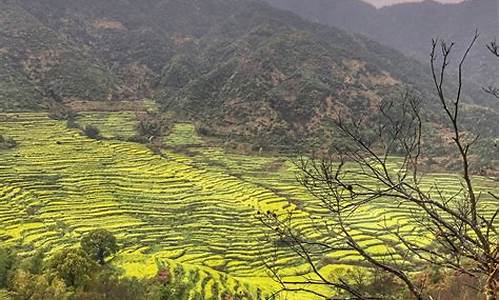 婺源旅游攻略夏季景点_婺源旅游攻略夏季