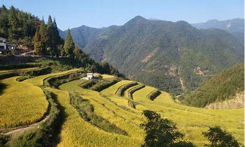 浙江指南村旅游攻略一日游_浙江指南村旅游攻略