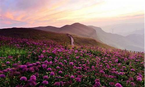 大韭菜坪旅游攻略_大韭菜坪旅游攻略及线路