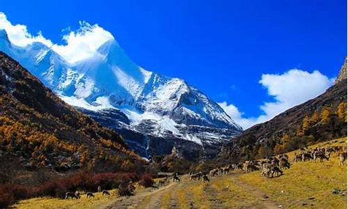 西安自驾稻城亚丁旅游攻略_西安自驾稻城亚丁旅游攻略路线