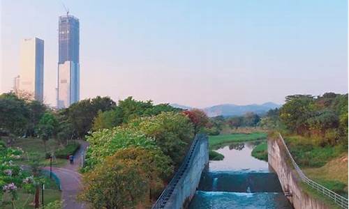 深圳中心公园可以放风筝吗_深圳中心公园可以放风筝吗现在
