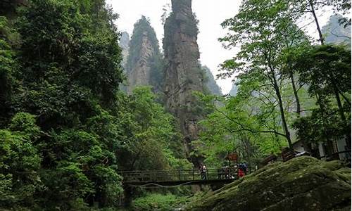 武汉到张家界旅游攻略三日游路线图_武汉到张家界旅游攻略三日游路线图片