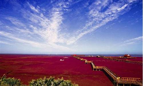 红海滩风景区